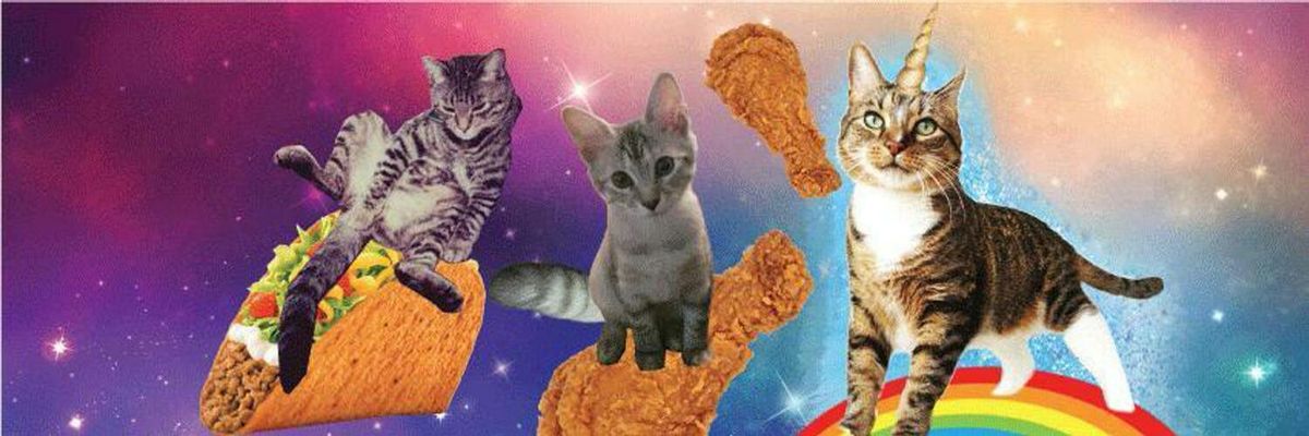 Discovery splash banner for Maow πΊ | Social & Gatitos Discord server