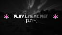 Discovery splash banner for LiteMC Discord server