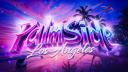 Discovery splash banner for Palmside LA | 7/24 Discord server