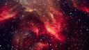 Discovery splash banner for TangoWorldWide Discord server