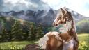 Discovery splash banner for Lake County Stables Discord server