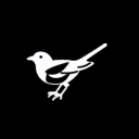 Discovery icon for Newcastle United Discord server