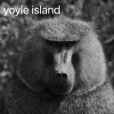 Discovery icon for Yoyle Island! Discord server