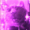 Discovery icon for pink summer asian cleo and tina world Discord server